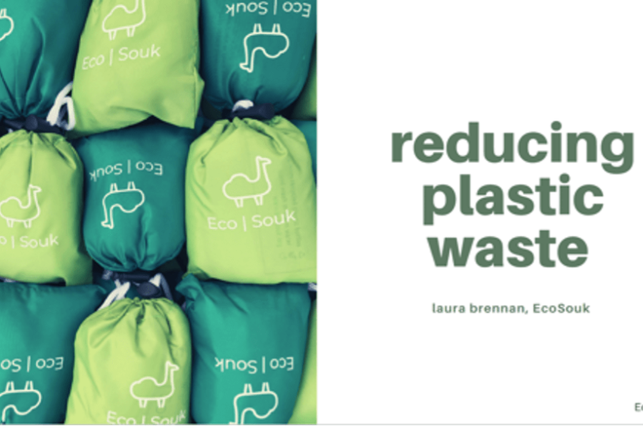 Stenton University online talk to professors on Reducing Plastic Waste